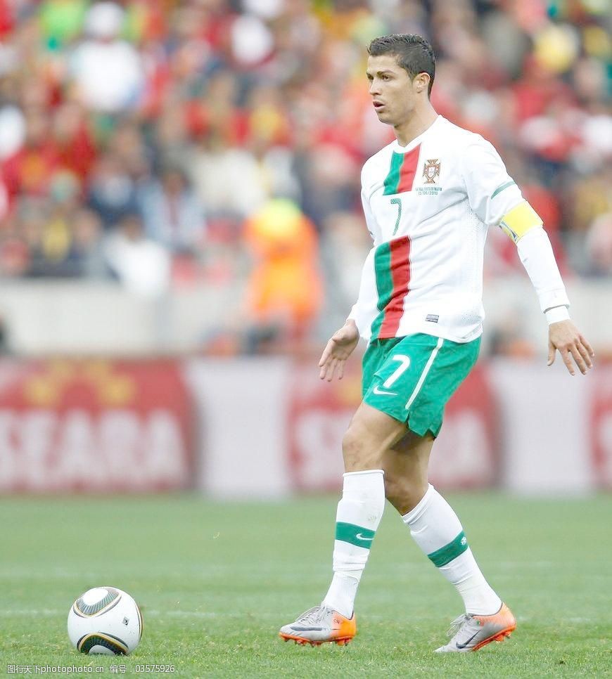 小麦组合深 小麦组合深