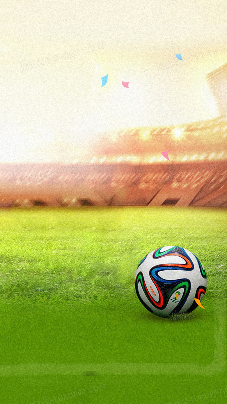 的魅力与动 的魅力与动