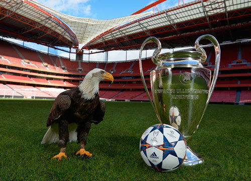 弹起后直接 弹起后直接