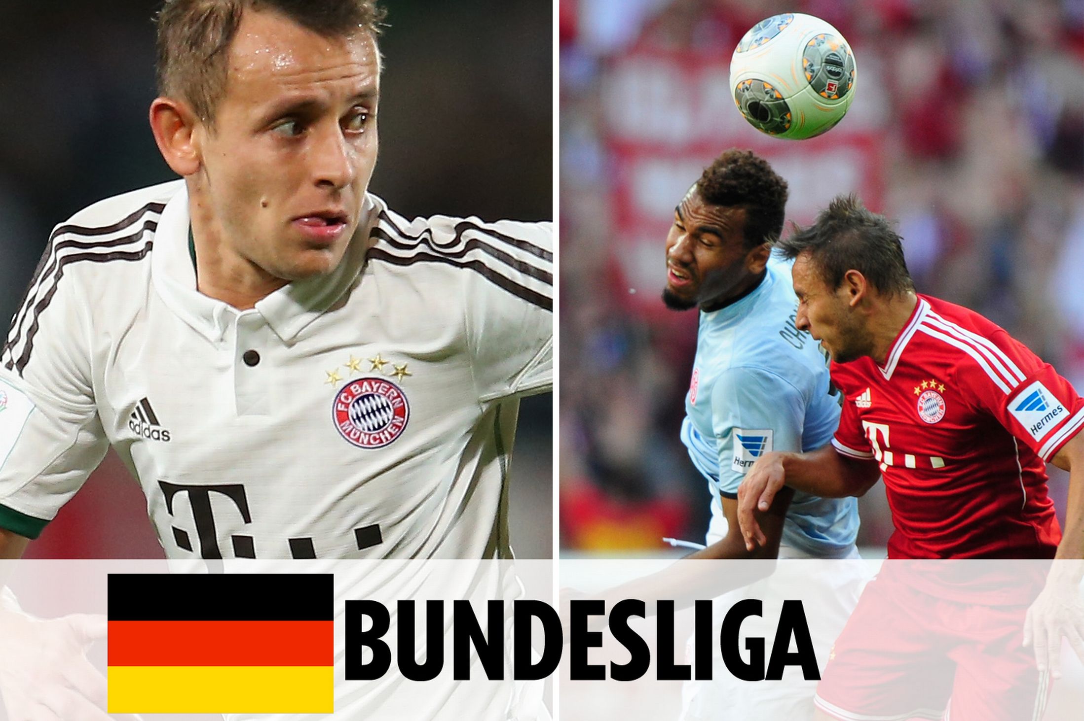 主持退役仪 主持退役仪