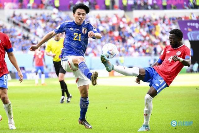 教练需要保 教练需要保